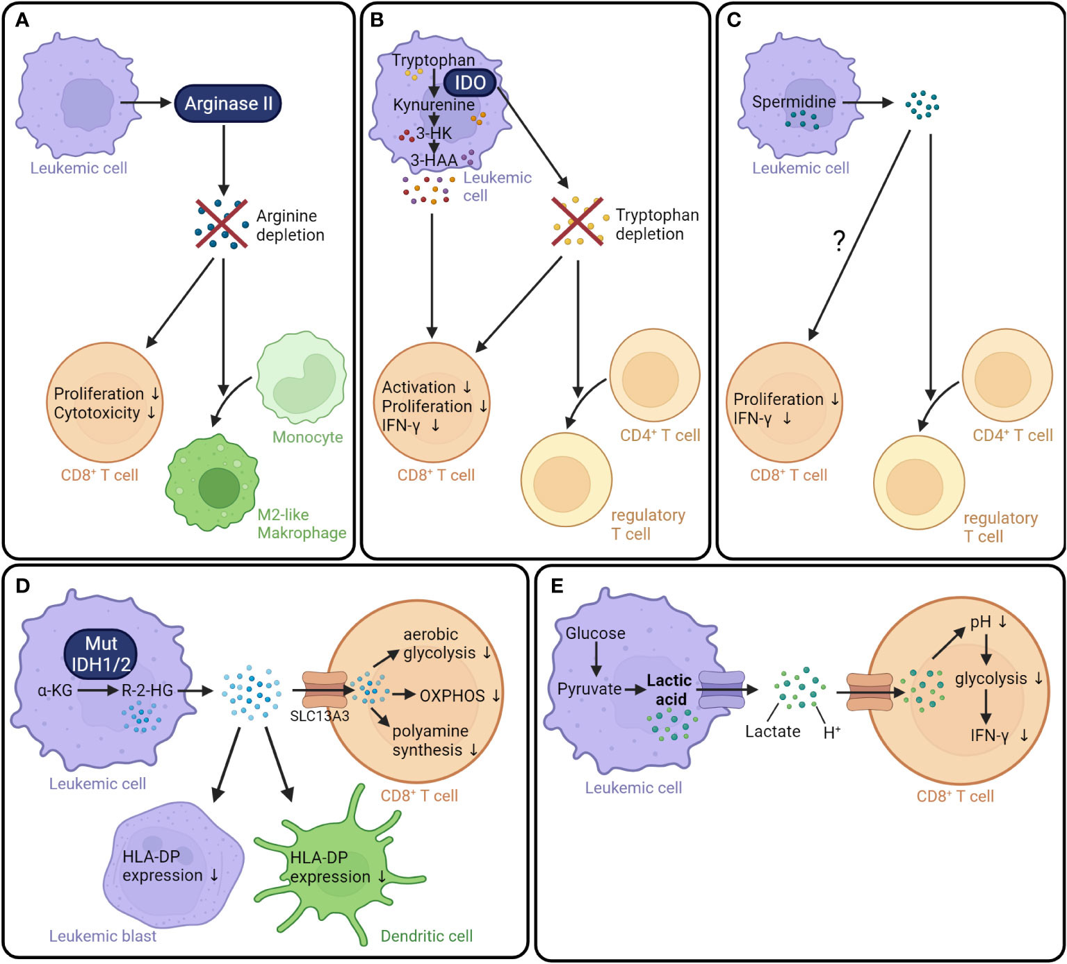 Metabolic instruction of the graft-versus-leukemia immunity