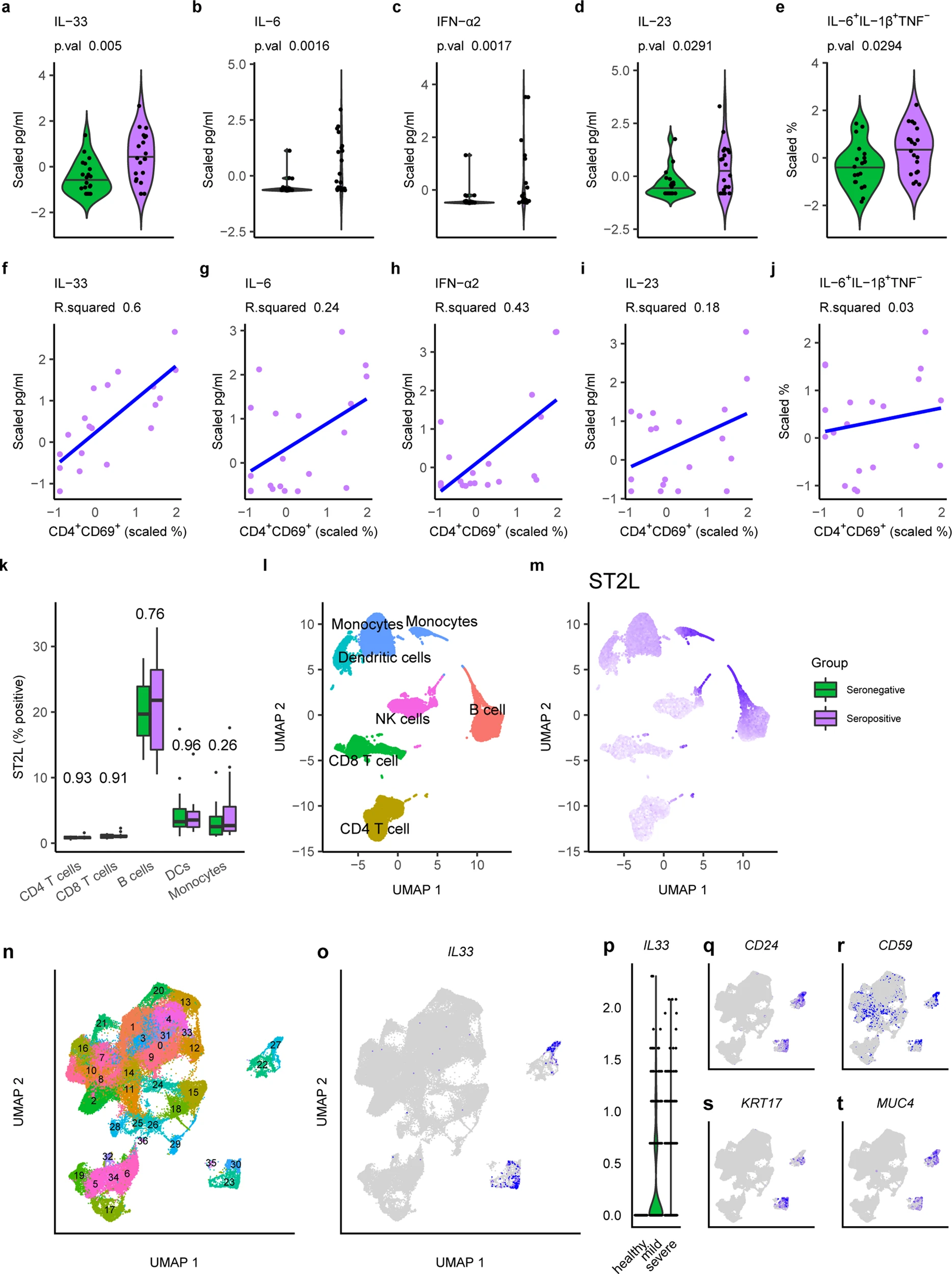 IL-33 expression in response to SARS-CoV-2 correlates with seropositivity in COVID-19 convalescent individuals