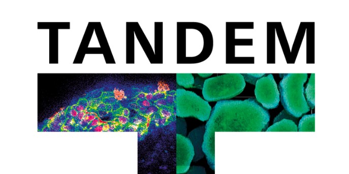 TANDEM Research Grant Award
