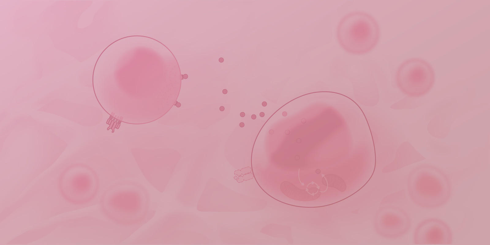 Cancer and immune cell metabolism