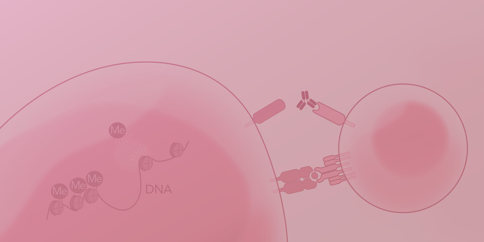 Clinical trials